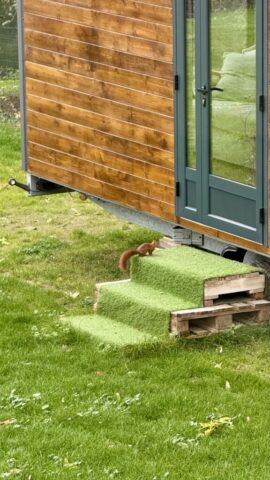 Ecureuil Tiny House Paris